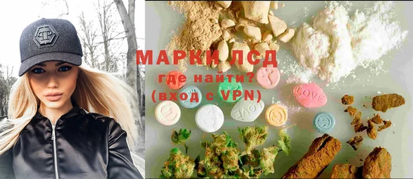spice Беломорск