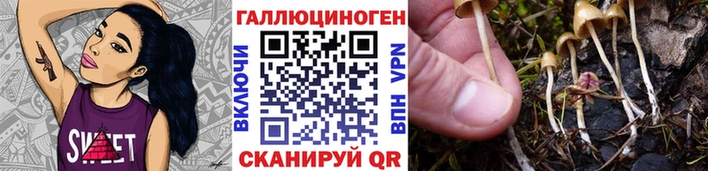 Галлюциногенные грибы Psilocybine cubensis  что такое наркотик  Первомайск 